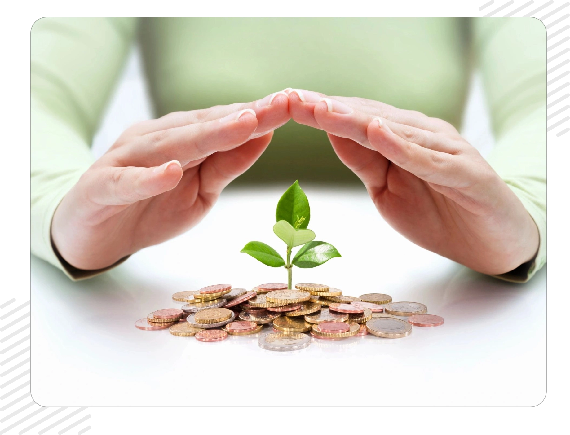 A person holding their hands over a plant